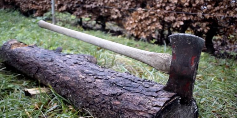 what-is-a-michigan-axe